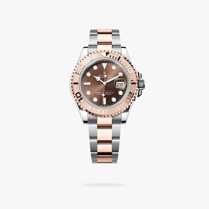 Regency Marine Master 40 mm Timeless Everose Bezel Chocolate Dial 126621 2185